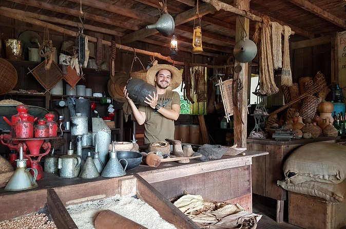 Rubber Museum from Manaus - Timing, group size, and the real cost