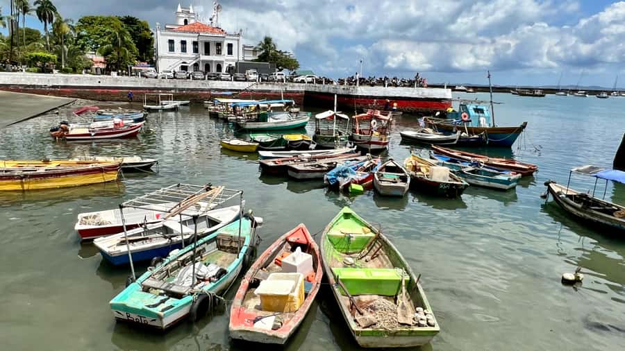Salvador: 4-Hour Candomblé Mysteries Tour - Is $110 a fair price?