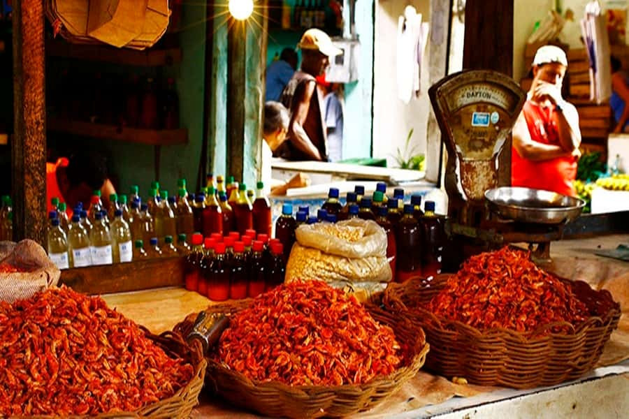 Salvador: Anthropological City Tour with Lunch IN 6 HOURS - What the guide adds to the day
