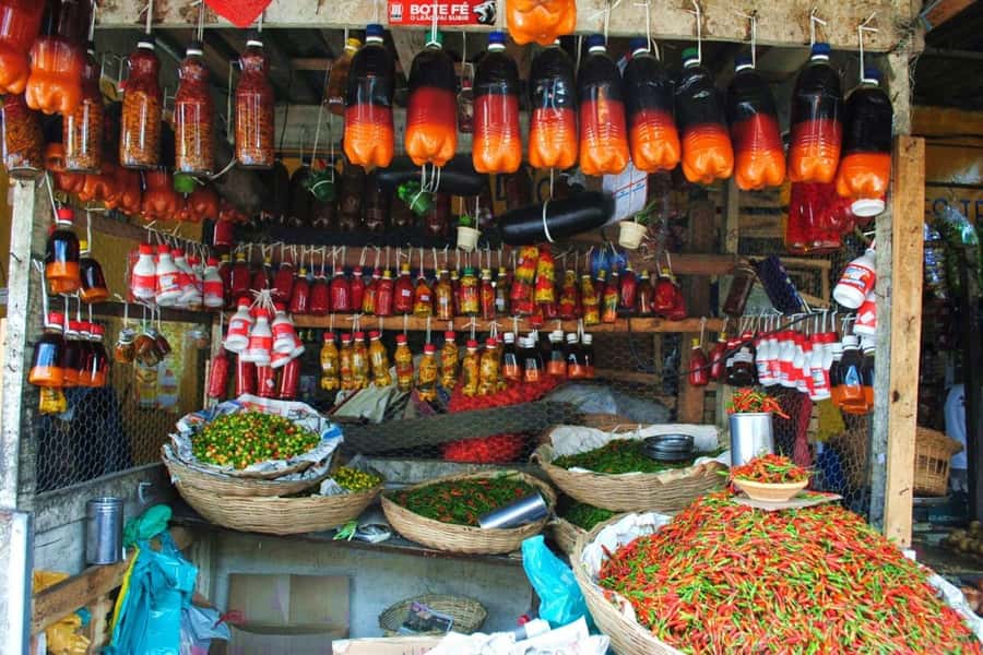 Salvador: Anthropological City Tour with Lunch IN 6 HOURS - Dique do Tororó and Salvador’s public symbols