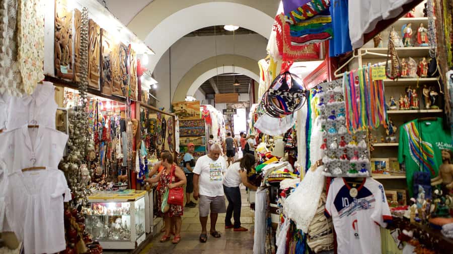 Salvador Historic Walking Tour - Pelourinho - Price, flexibility, and overall value