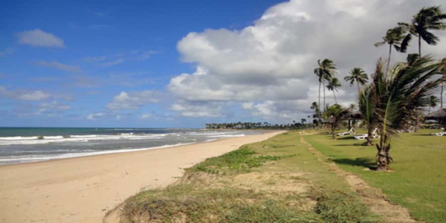 Salvador: Praia Do Forte and Guarajuba Beach Day Trip - What the guide and transport add