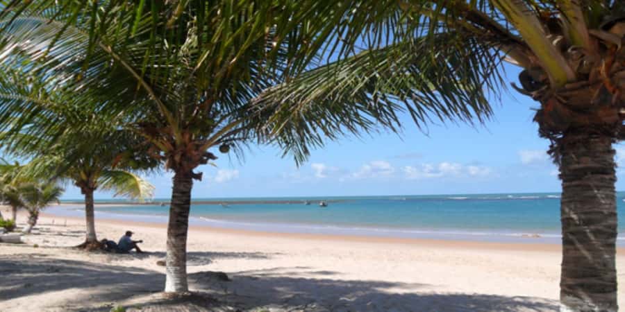 Salvador: Praia Do Forte and Guarajuba Beach Day Trip - What $43 really covers