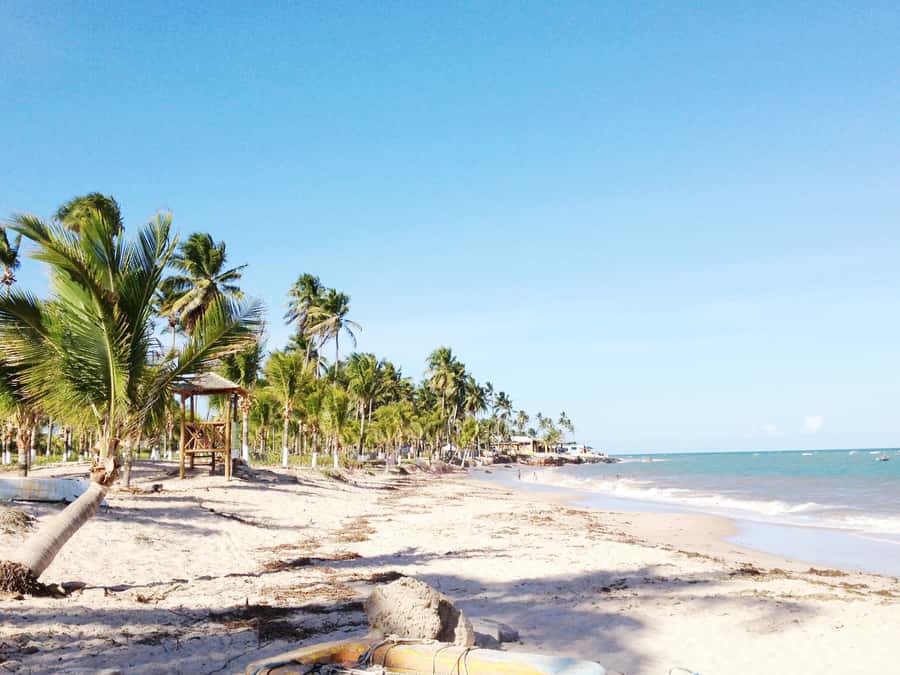 Salvador: Schooner Cruise with Pickup and Itaparica Stop - Why Baía de Todos os Santos makes a fine day at sea
