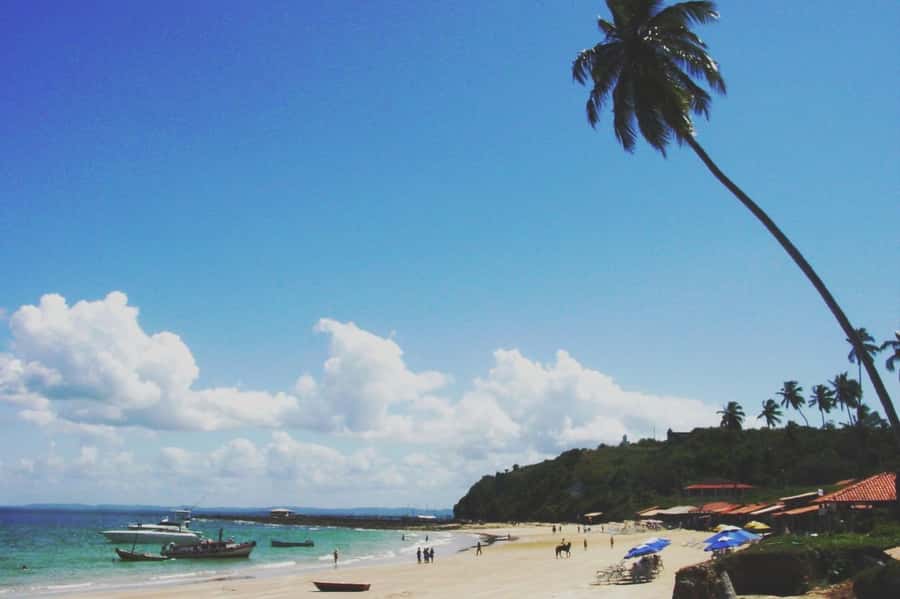 Salvador: Schooner Cruise with Pickup and Itaparica Stop - Ilha dos Frades, the best use of your beach time