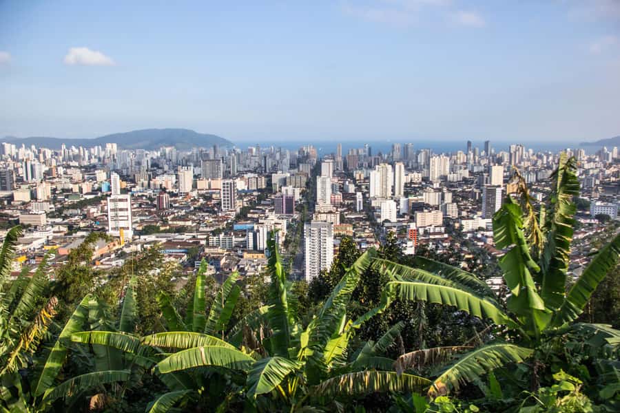 Santos: 7-hour Complete Shared City Tour - Main City Sights - An hour for lunch in central Santos