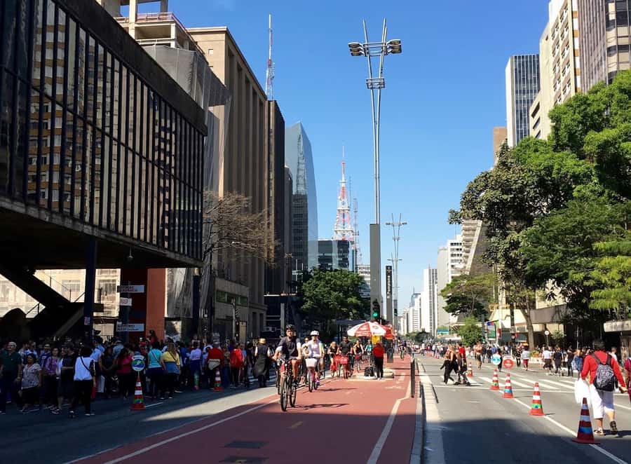 São Paulo: 5hr City Tour With Fruit Tasting - The Municipal Market is the tour’s tastiest hour