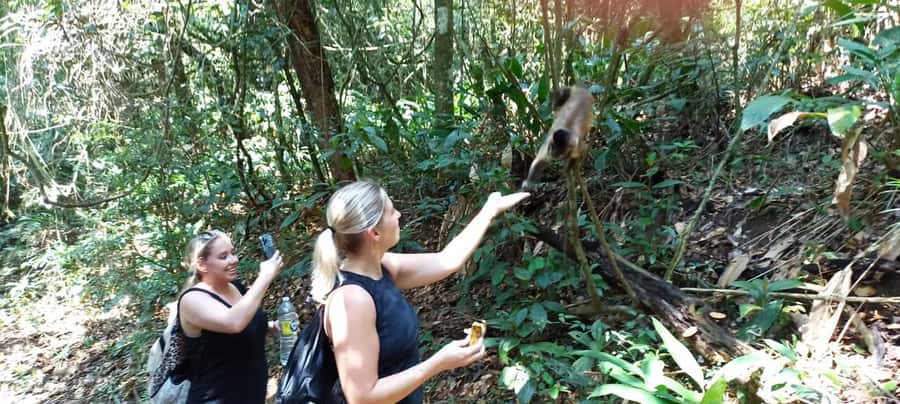 São Paulo: Atlantic Forest Hike in Jaraguá Park with Picnic - Practical Advice for a Better Hike
