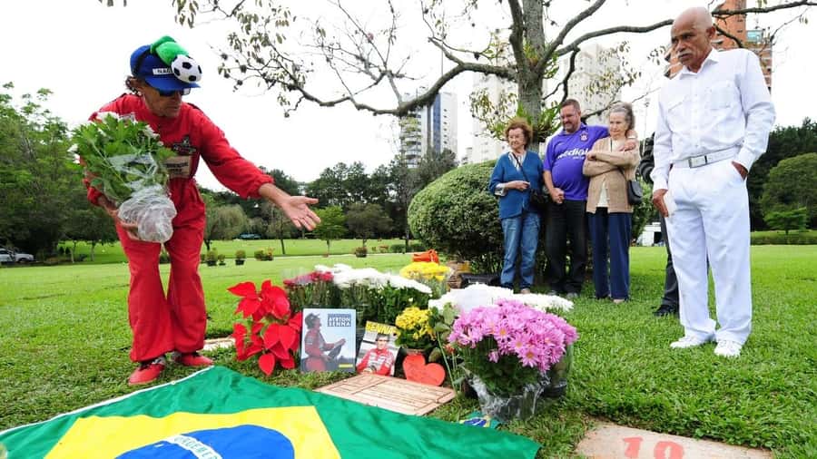 São Paulo: Ayrton Senna Highlights Tour - Interlagos, where the racing story comes alive