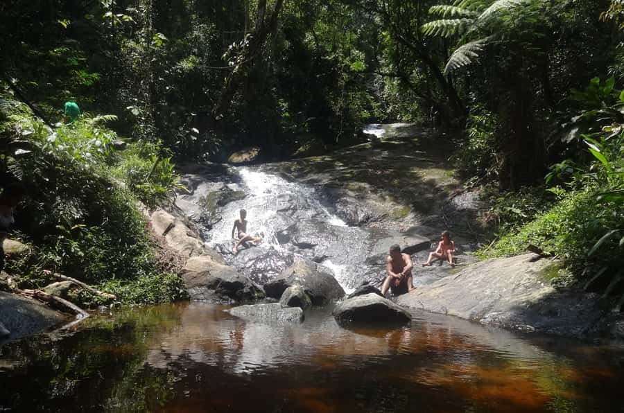São Paulo: Cantareira Natural Park Guided Rainforest Hike - Following the Engordador River on the Waterfall Trail
