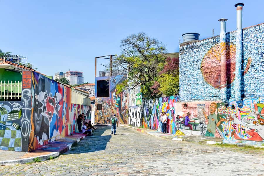 São Paulo City: 5-Hour Private Tour - The private vehicle, guide, and pace