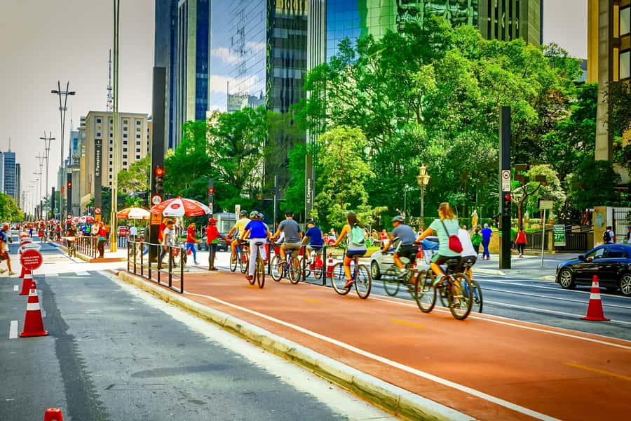 São Paulo City: 5-Hour Private Tour - São Paulo’s center and the one-hour market stop