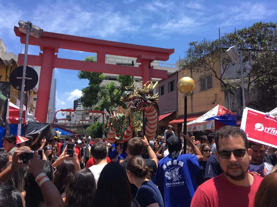 São Paulo: City Highlights Guided Tour - The guide and the pace of the day