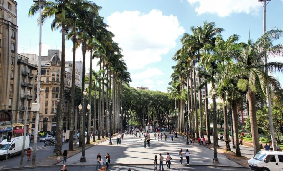 São Paulo: Full-Day Guided City Tour from the Port of Santos - Practical packing and timing advice