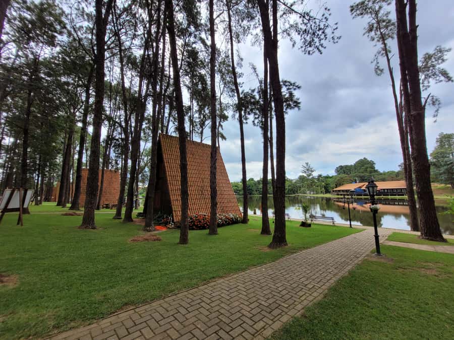 São Paulo: Holambra Colorful Flower Farm Guided Day Trip - Who Should Book This Holambra Trip?