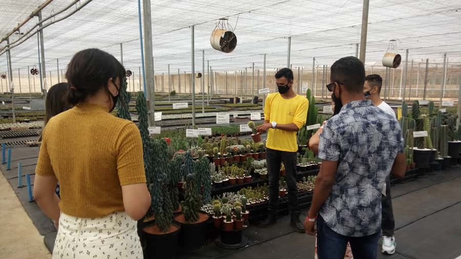 São Paulo: Holambra Colorful Flower Farm Guided Day Trip - The Morning Walk Through Holambra
