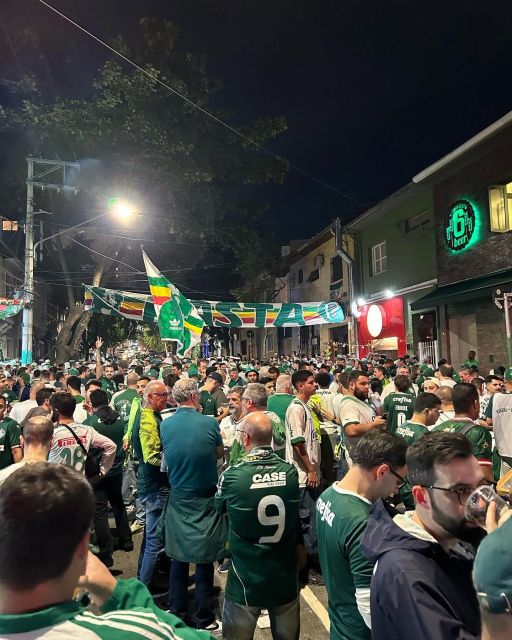 São Paulo: Join a Palmeiras Game Experience with a local - The match itself, four hours at Allianz Parque