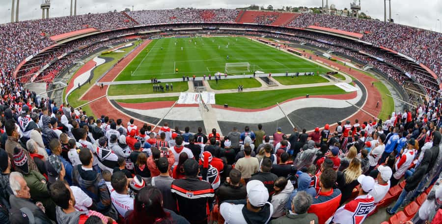 São Paulo: Join a São Paulo football game with a local fan - Meeting at São Paulo-Morumbi Station