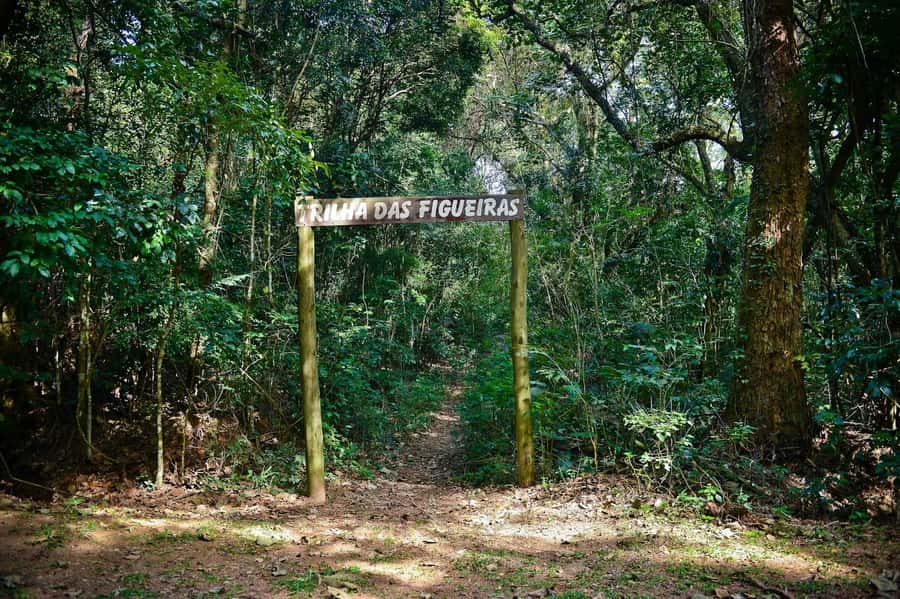 São Paulo Private Half Day Ecotour - What the Four-Hour Schedule Means