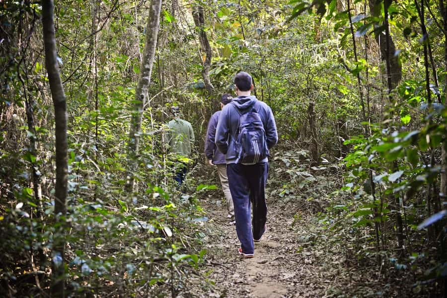 São Paulo Private Half Day Ecotour - Booking Details That Matter