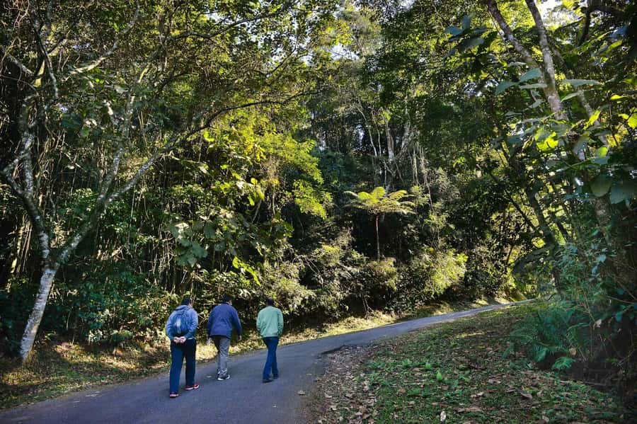 São Paulo Private Half Day Ecotour - Should You Book This São Paulo Nature Tour?