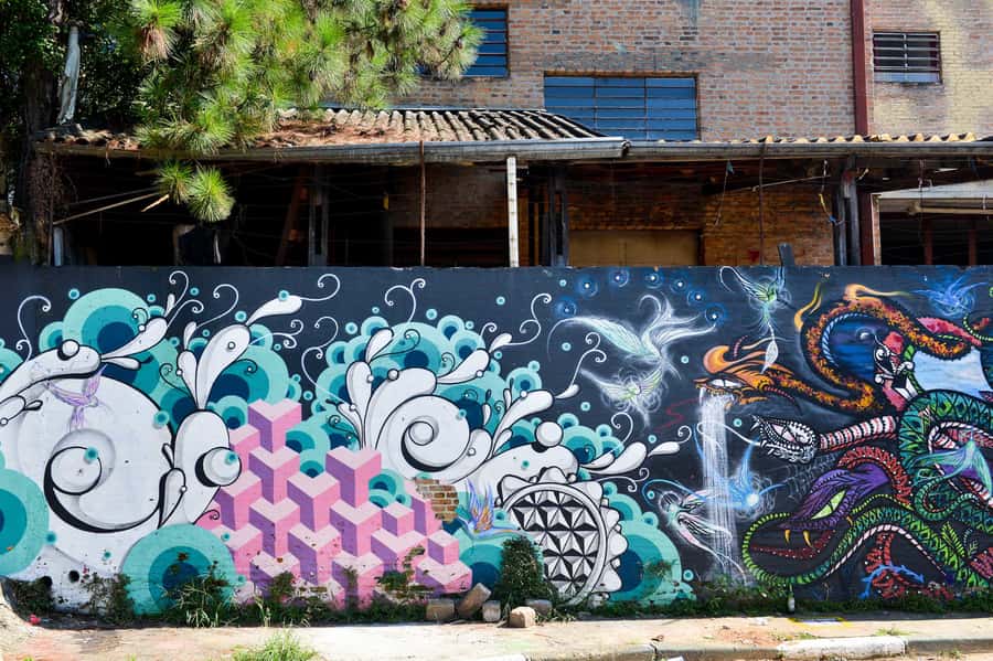 São Paulo Street Art Tour - What to bring and how to prepare