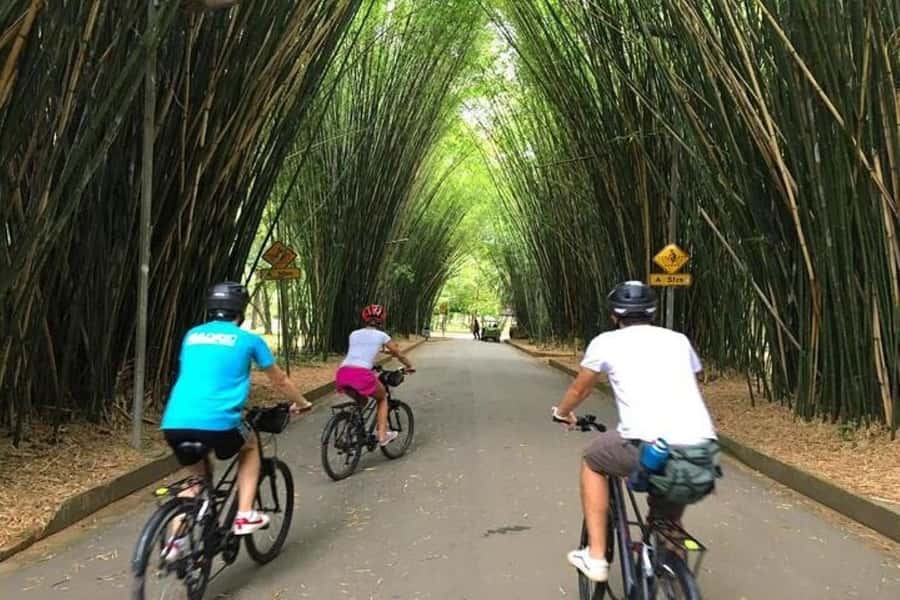 Sao Paulo: The Coolest Urban Scenes Bike Tour - Ibirapuera Park brings green space into the city