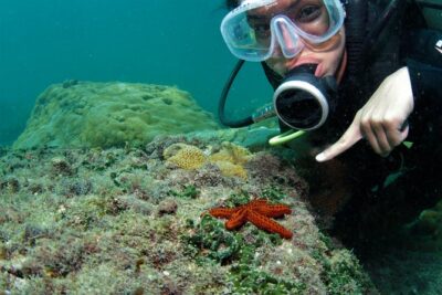 Scuba Diving in Rio de Janeiro