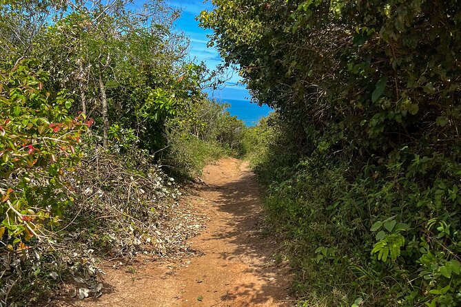 Secret Island Adventure: Gravata Trail, Floripa - Thirty Minutes at the Mountain Top