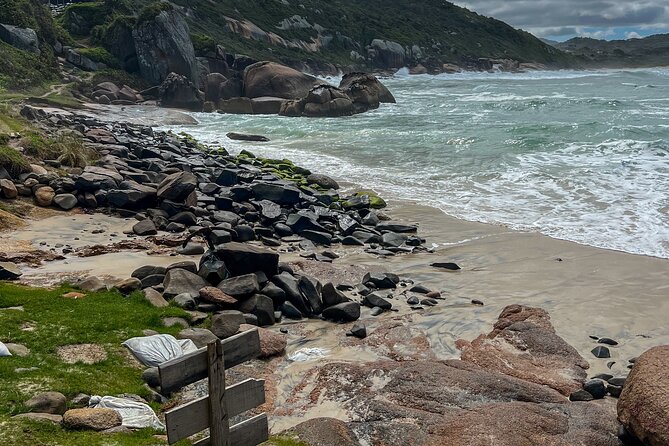 Secret Island Adventure: Gravata Trail, Floripa - How Carlos Shapes the Day