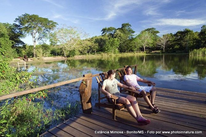 Skip the Line: Estancia Mimosa Admission Ticket - Optional Birdwatching and Horseback Riding