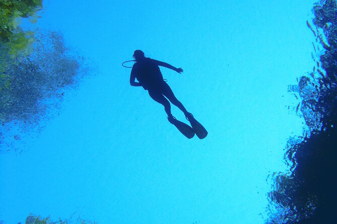 Skip the Line: Lagoa Misteriosa Admission Ticket with Scuba Diving Experience - What certified participants can see