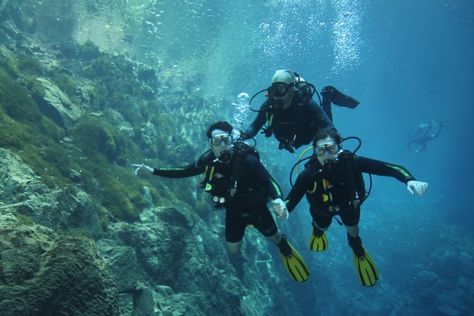 Skip the Line: Lagoa Misteriosa Admission Ticket with Scuba Diving Experience - Timing, transport, and what to pack