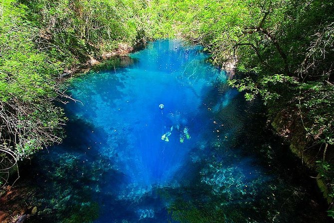 Skip the Line: Lagoa Misteriosa Admission Ticket with Scuba Diving Experience - The forest approach and staircase