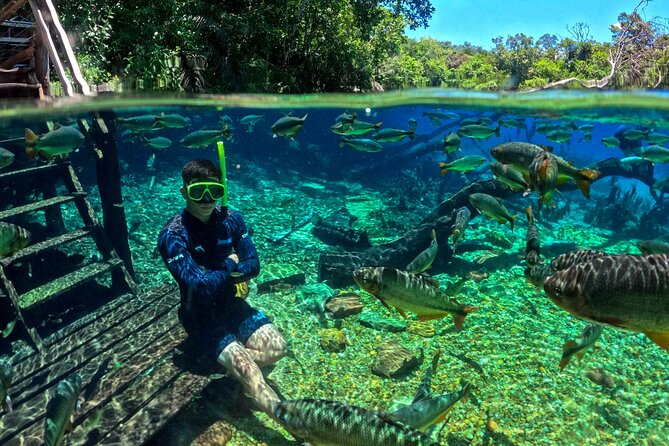 Skip the Line:Recanto Ecologico Rio da Prata Ticket including Trail & Snorkeling - Why Rio da Prata is special near Bonito