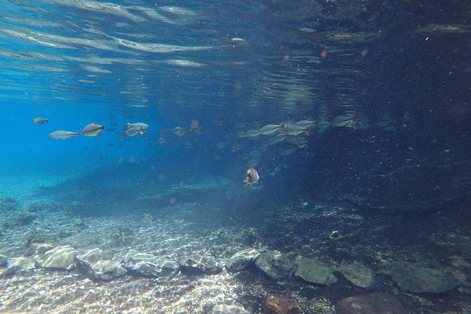 Skip the Line:Recanto Ecologico Rio da Prata Ticket including Trail & Snorkeling - Lunch after the river