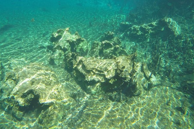 Skip the Line:Recanto Ecologico Rio da Prata Ticket including Trail & Snorkeling - Who should book this river tour?