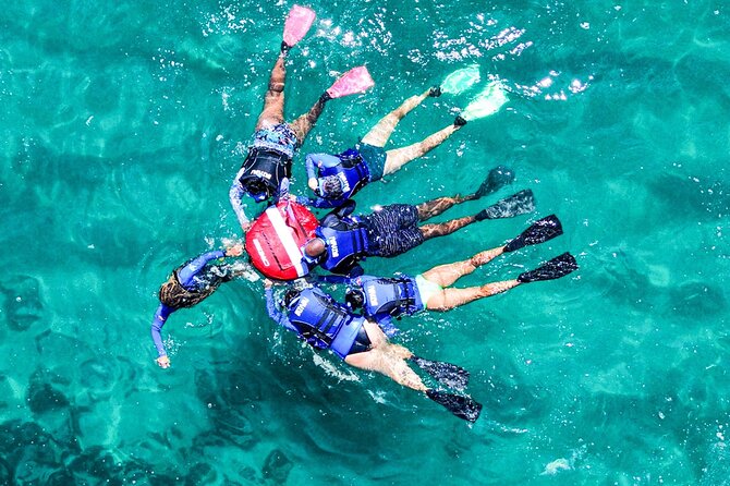 Snorkel Dive with Turtles - Key things to know before you book
