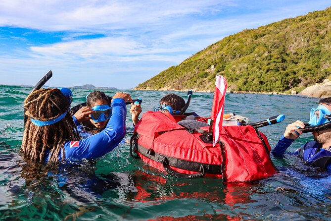 Snorkel Dive with Turtles - Why this short turtle outing works