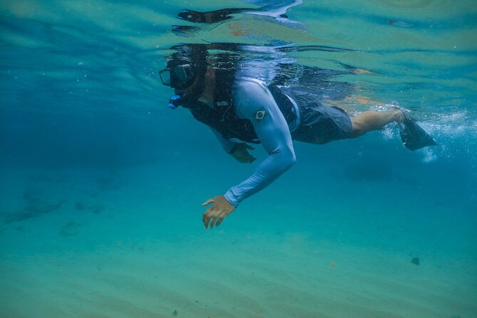 Snorkel Dive with Turtles - Gracainha Beach and the water session