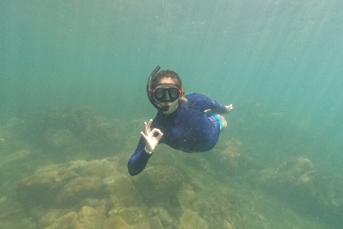 Snorkeling Tour on Macuco Island With Underwater Photos by Zimbros Ecotour - What this Macuco Island trip is really like