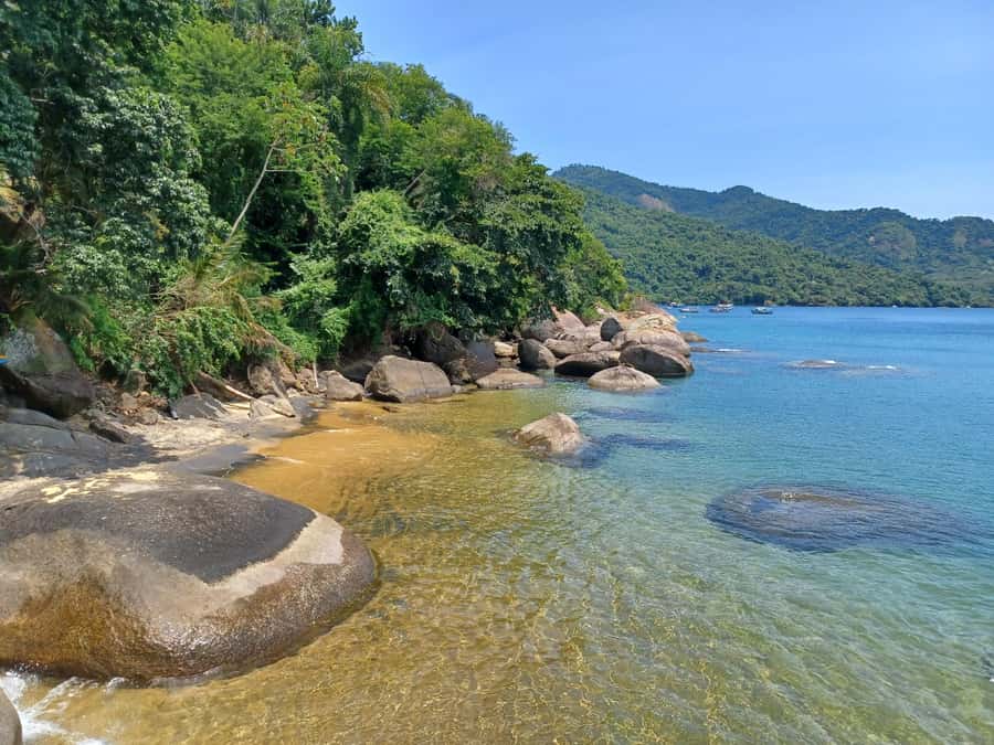 Snorkeling with turtles in their natural habitat - Freguesia de Santana: a short shore break
