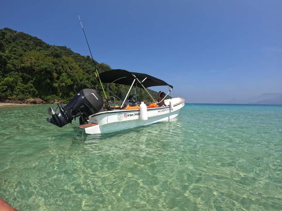 Snorkeling with turtles in their natural habitat - What the $602 price really means