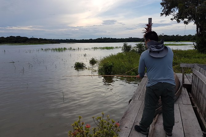 Solimoes River Piranha Fishing and Alligator Watching Tour - Searching for alligators after dark