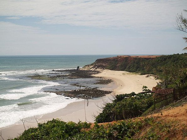 Sun and Fun at Pipa Beach: Day Tour from Natal - Key points to know before booking