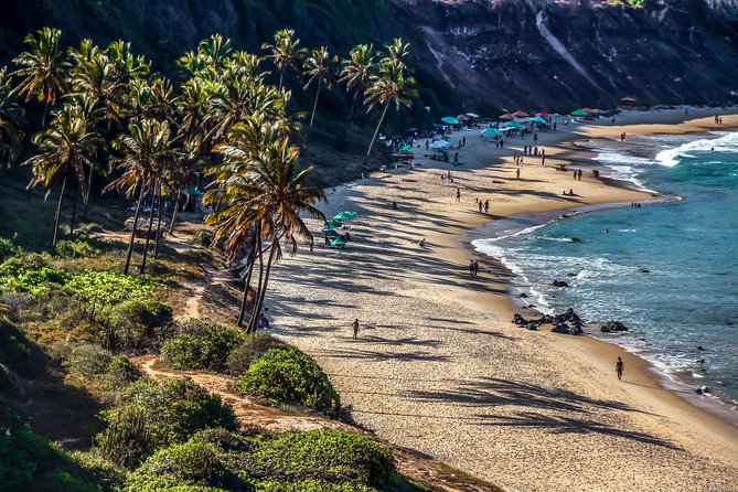 Sun and Fun at Pipa Beach: Day Tour from Natal - Madeiro Beach: the main swim stop