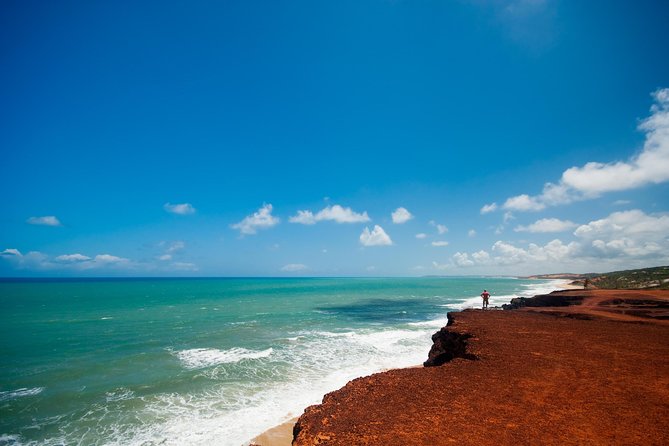 Sun and Fun at Pipa Beach: Day Tour from Natal - Pipa village: lunch, small shops, and free time