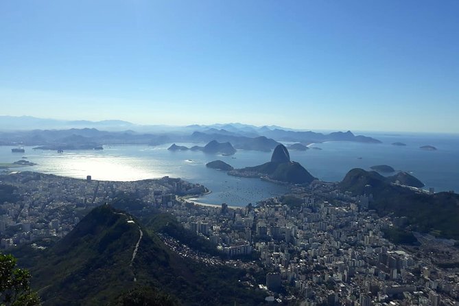 The Best of Rio de Janeiro in a Private Guided Tour - What this private Rio tour really offers