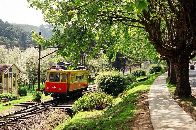 The Brazilian Switzerland - Day Trip on Campos do Jordão from São Paulo - Leaving São Paulo for the Mantiqueira Mountains