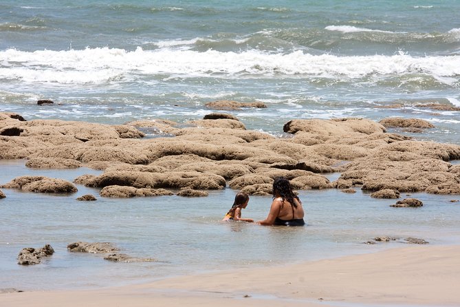 The colorful sands of Morro Branco beach - Full Day Tour - Guides, Group Size, and the Feel of the Day